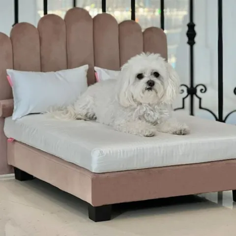 BRAND NEW BOXED LUXOR LUXURY HUMAN QUALITY DOG BED PINK SMALL