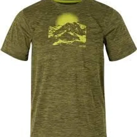 BRAND NEW REGATTA FINGAL T-SHIRT IN TREETOP - UK 4XL