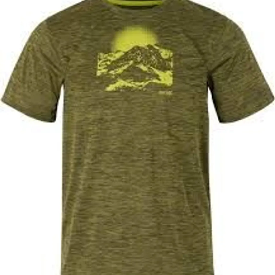 BRAND NEW REGATTA FINGAL T-SHIRT IN TREETOP - UK 4XL