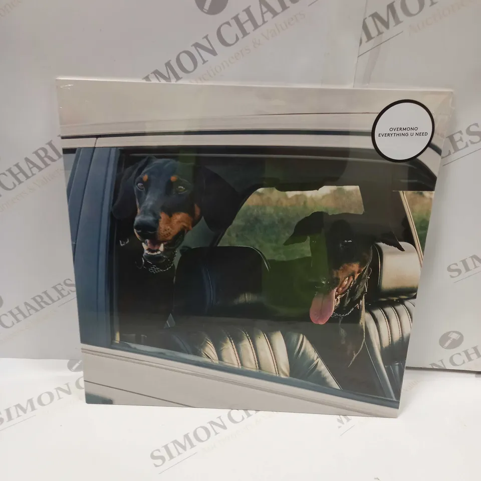 APPROX. 12 X ASSORTED MUSIC VINYL'S. ARTISTS VARY 