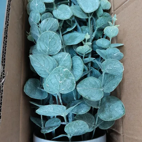 BOXED ARTIFICIAL POTTED EUCALYPTUS BUSH (84.5CM)