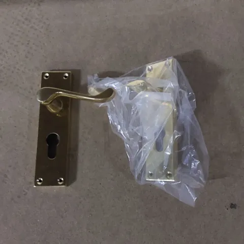 BOXED VICTORIAN SCROLL EURO DOOR HANDLE - SET OF 2 
