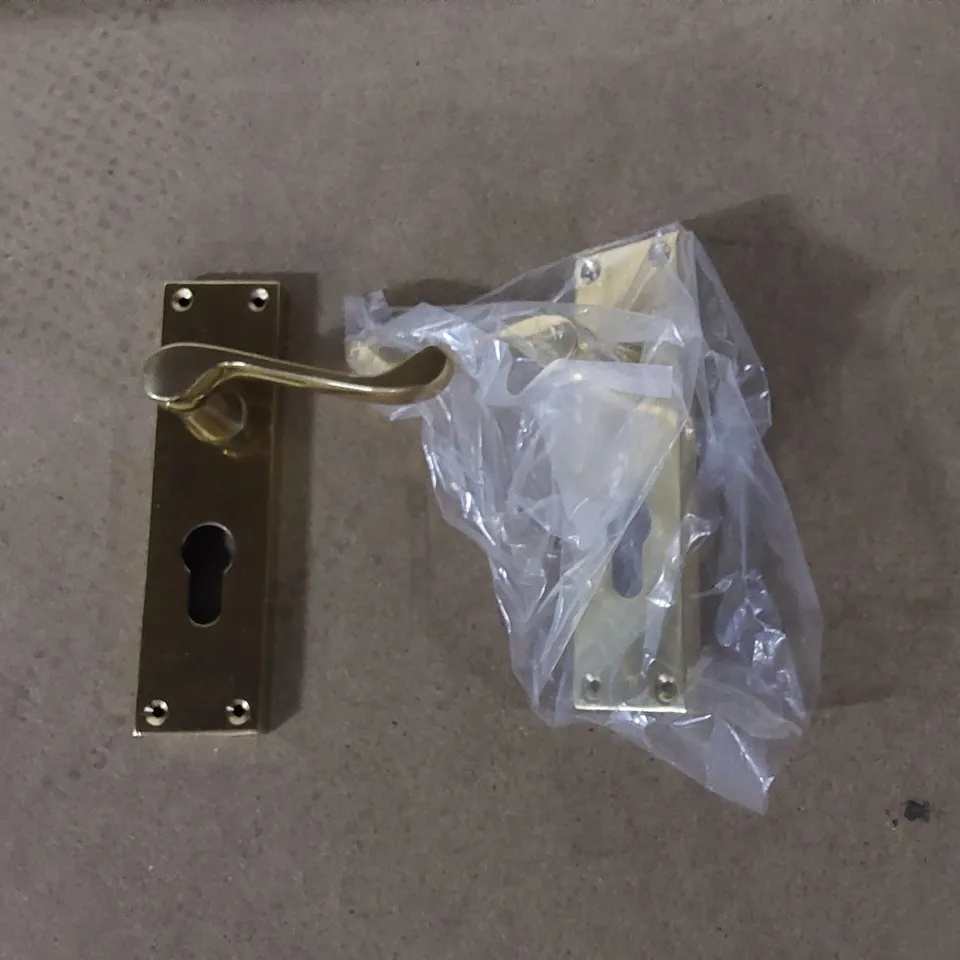 BOXED VICTORIAN SCROLL EURO DOOR HANDLE - SET OF 2 