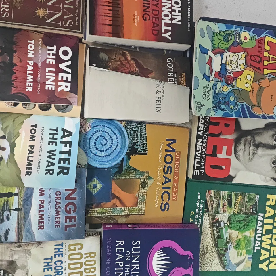 LOT OF APPROXIMATELY 25 ASSORTED BOOKS TO INCLUDE AFTER THE WAR, PERSIAN FIRE AND THE GARDEN RAILWAY GUIDE