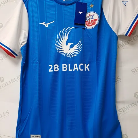 HANSA FOOTBALL CLUB HOME JERSEY - MEDIUM