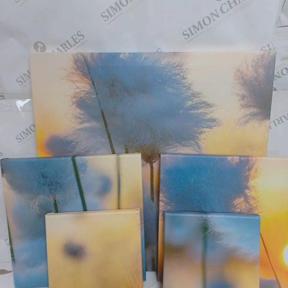 EAST URBAN HOME COTTON AT SUNSET PHOTOGRAPHIC ART PRINT MULTI-PIECE IMAGE ON CANVAS