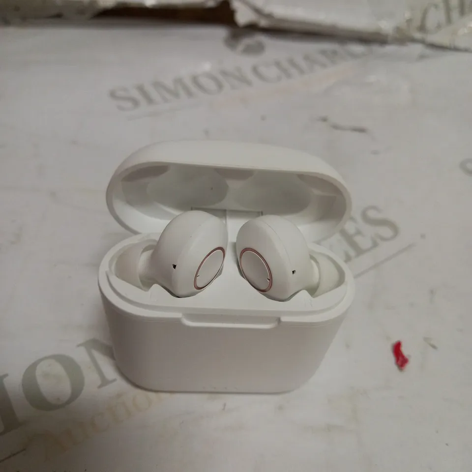 BLUETOOTH TRUE WIRELESS EARBUDS 