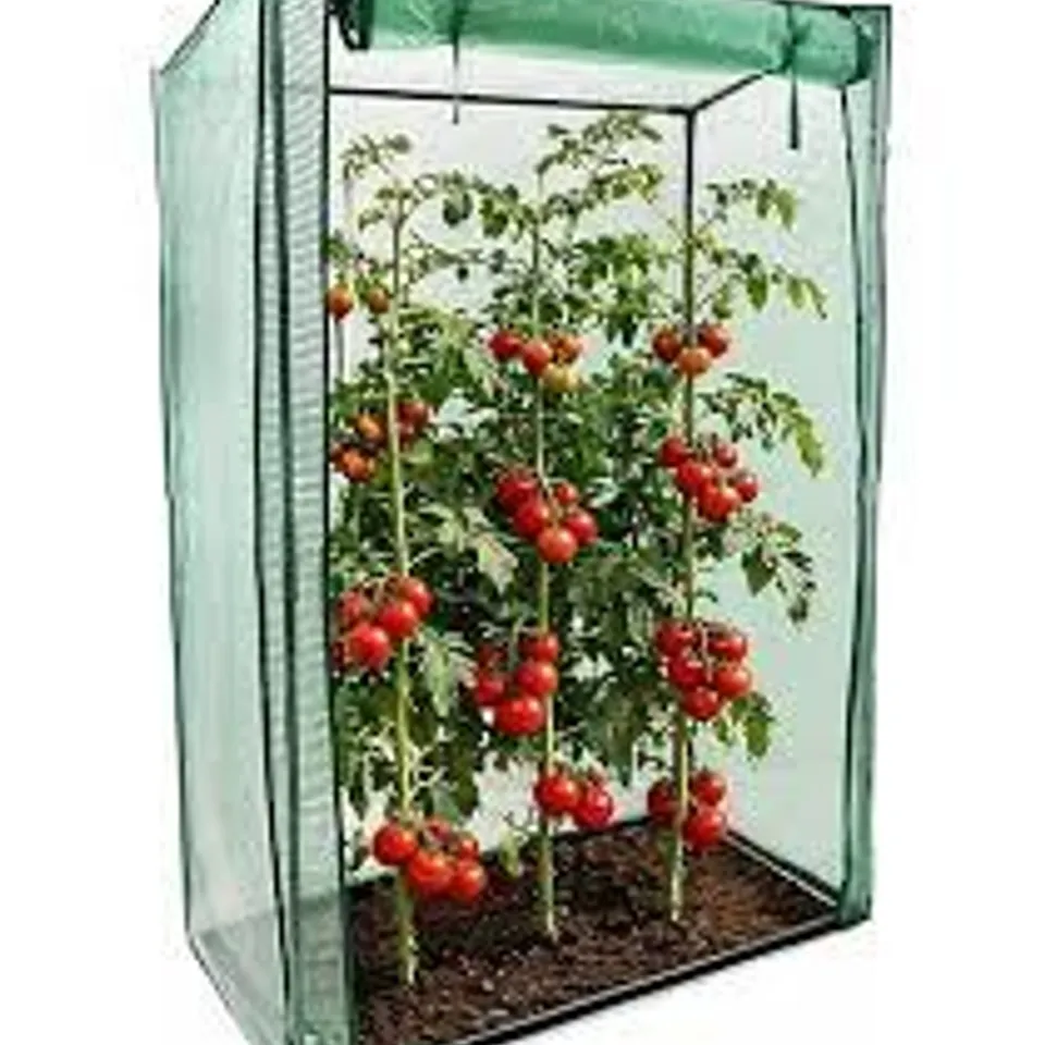 OYPLA GROWBAG TOMATO GROWHOUSE GARDEN GREENHOUSE WITH PVC COVER - 150X100X50CM BOXED