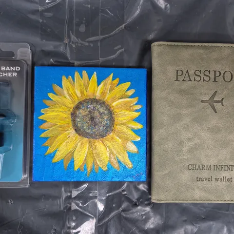 APPROXIMATELY 10 ASSORTED HOUSEHOLD ITEMS TO INCLUDE PASSPORT PELLET BAND STRETCHER, ETC