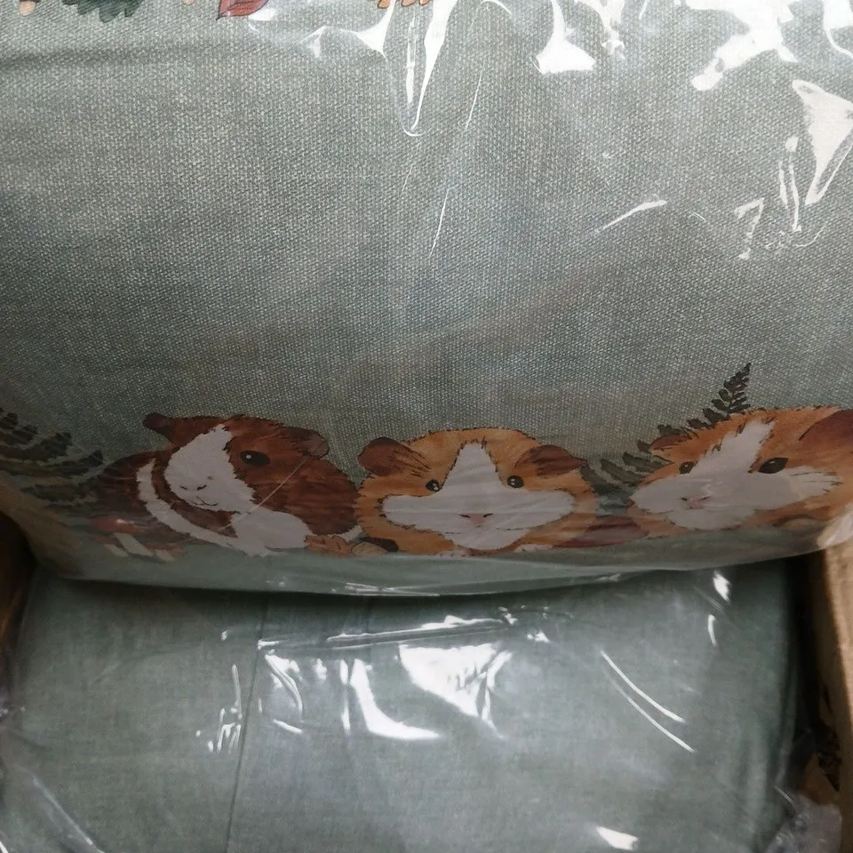 14 BAGGED AUTUMN GUINEA PIGS 35X45CM CUSHIONS - COLLECTION ONLY