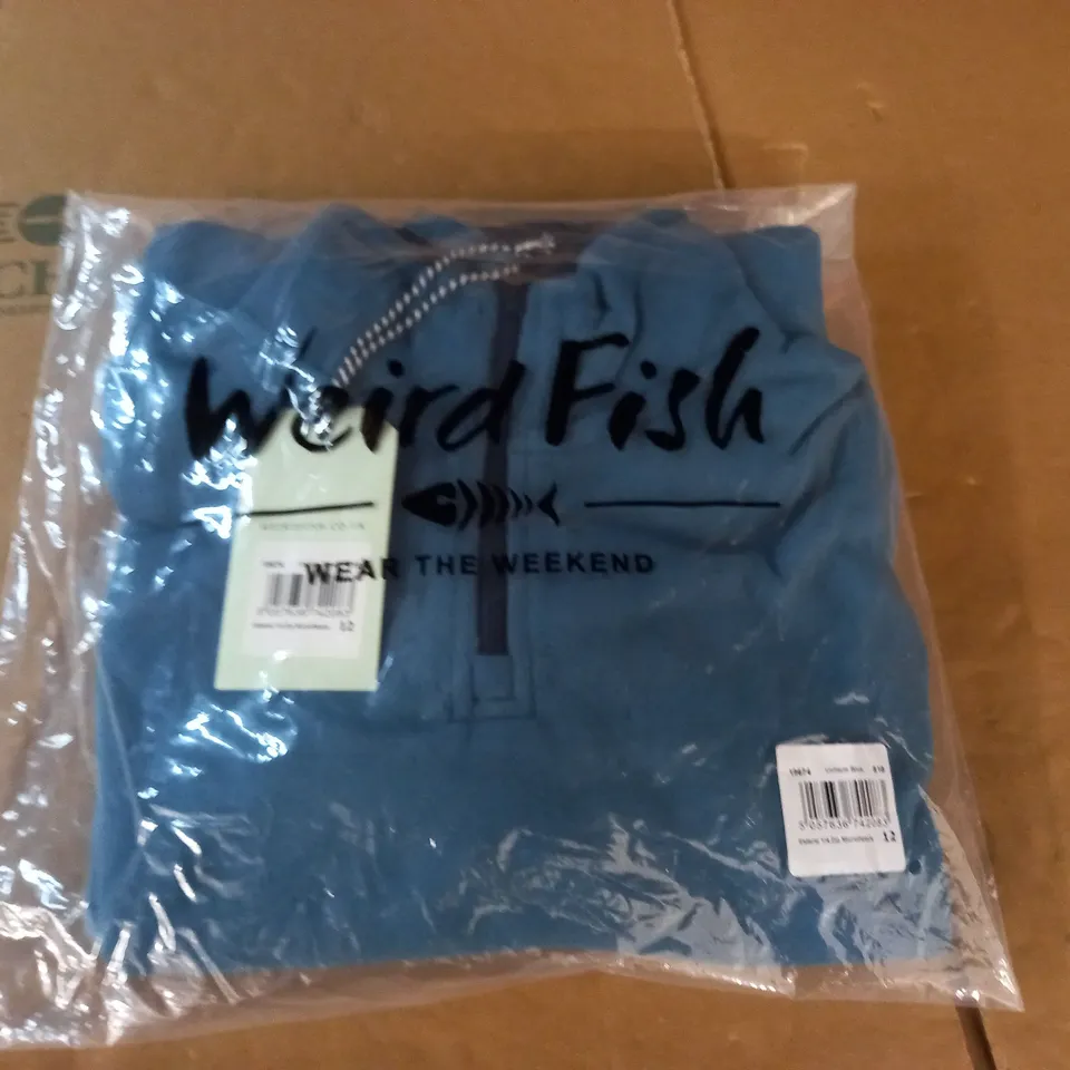 BAGGED WEIRDFISH ESTEREL 1/4 ZIP MICROFLEECE IN BLUE - 12
