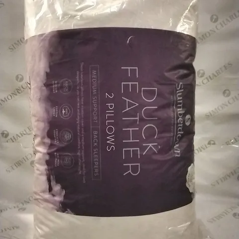 BAGGED SLUMBERDOWN DUCK FEATHER X2 PILLOWS