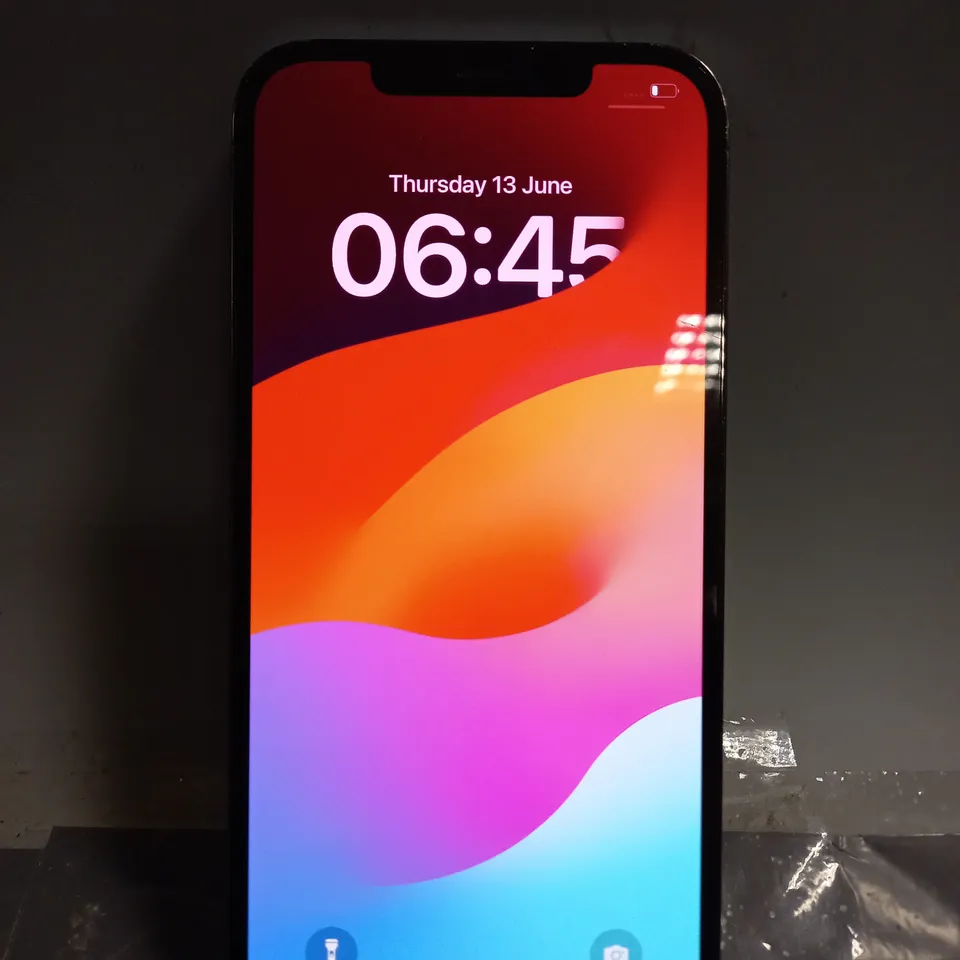 IPHONE 12 PRO MAX
