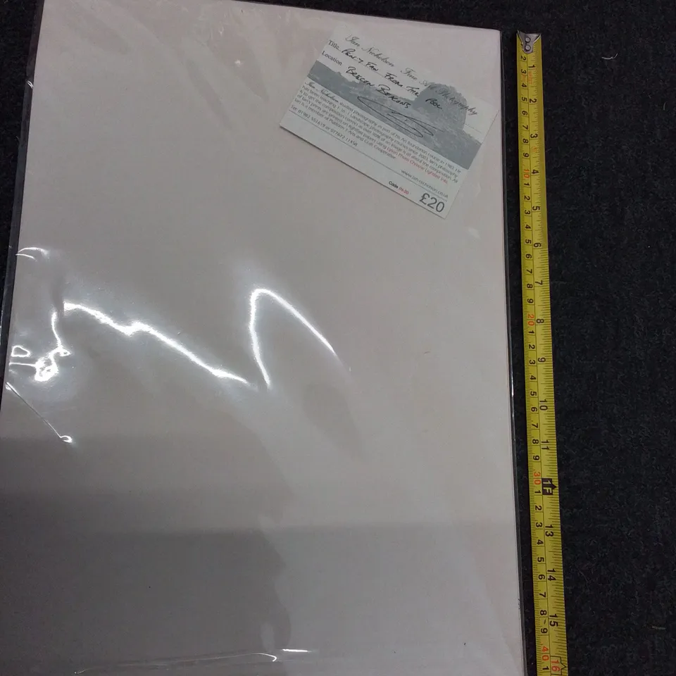 'PERY FAR FROM THE POOL' PHOTOGRAPH -IAN NICHOLSON 