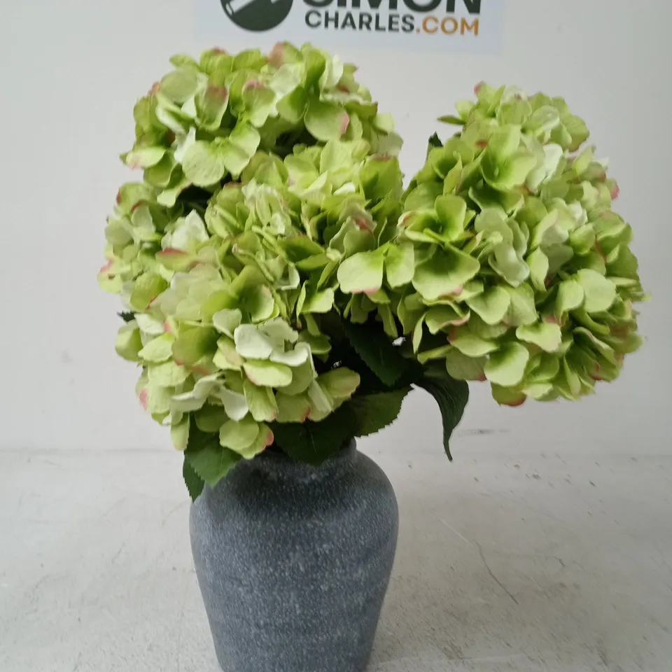 SCOTTISH EVERLASTINGS LTD 50CM HYDRANGEAS IN GREY VASE