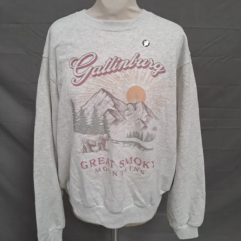 HOLLISTER JUMPER IN LIGHT GREY SIZE SMALL
