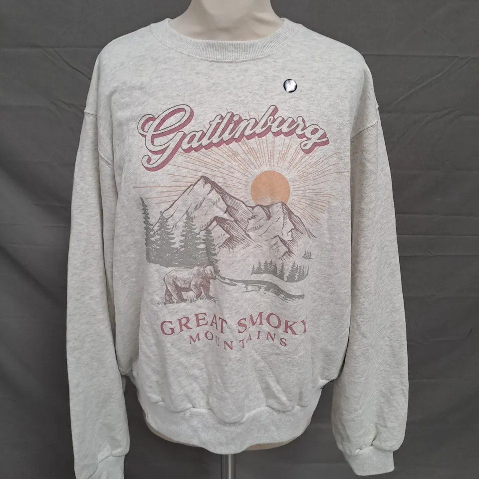 HOLLISTER JUMPER IN LIGHT GREY SIZE SMALL