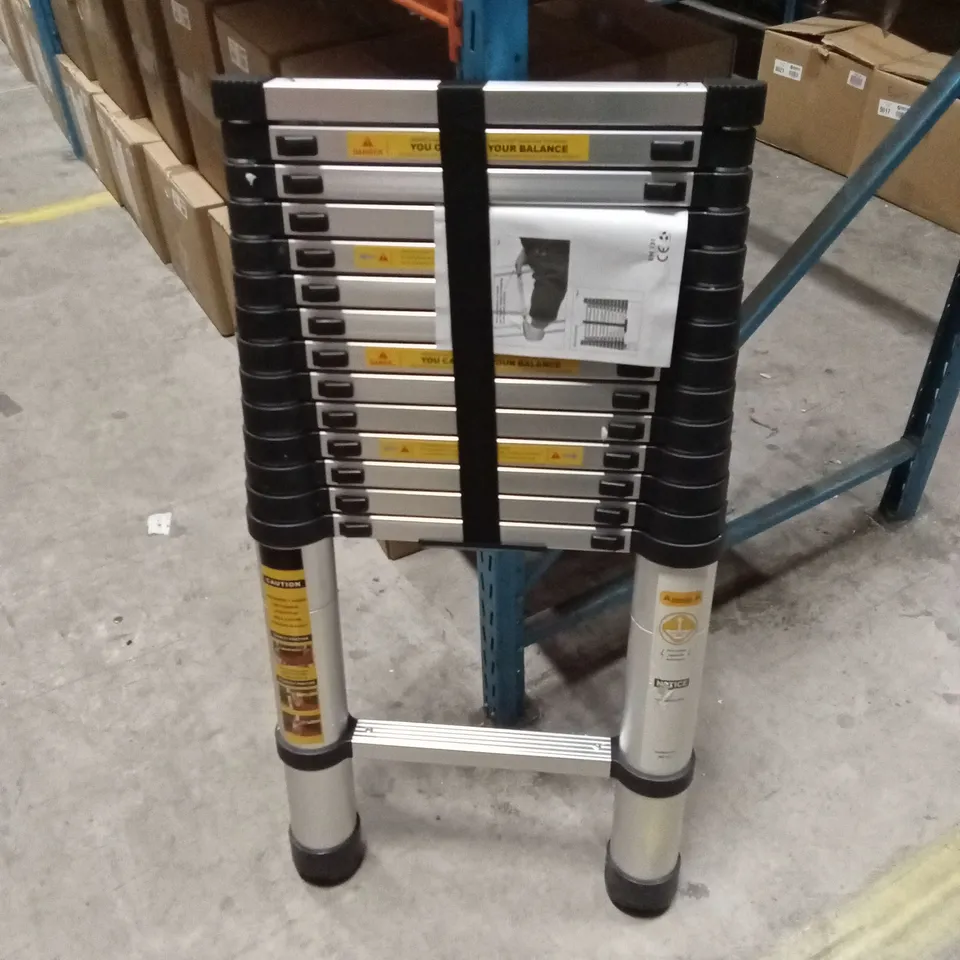 TELESCOPIC LADDER