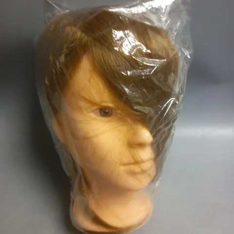 HAIR STYLING MANNEQUIN HEAD