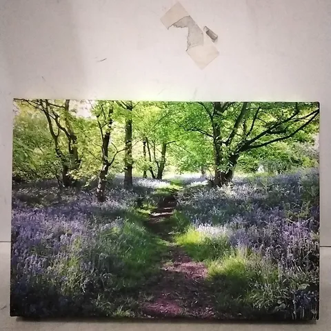 PATH THROUGH THE BLUEBELL FORREST CANVAS
