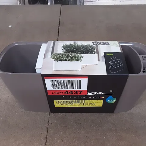 DELTA PREMIUM PLASTIC SELF WATERING PLANT POT 