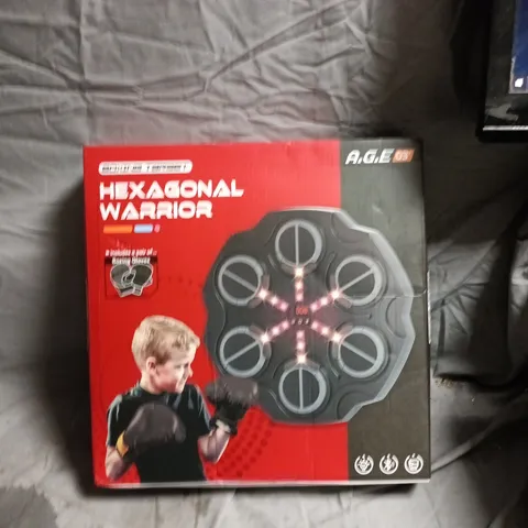 HEXAGONAL WARRIOR BOXING TARGET 
