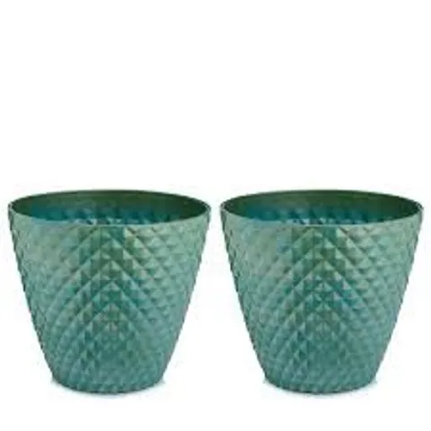 GRUMPY GARDENER PEARLISED PLANT