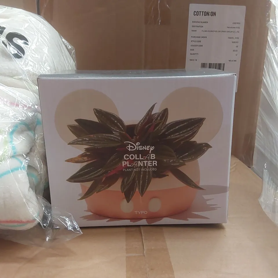 PALLET CONTAINING APPROXIMATELY 111x BRAND NEW TYPO DISNEY COLLAB PLANTERS, 390x BRAND NEW SPONGEBOB 'WHEN THE CAFFEINE HITS' MUGS, 14x BRAND NEW TYPO DISNEY COLLAB MICKEY MOUSE OVERSIZED HOODIES