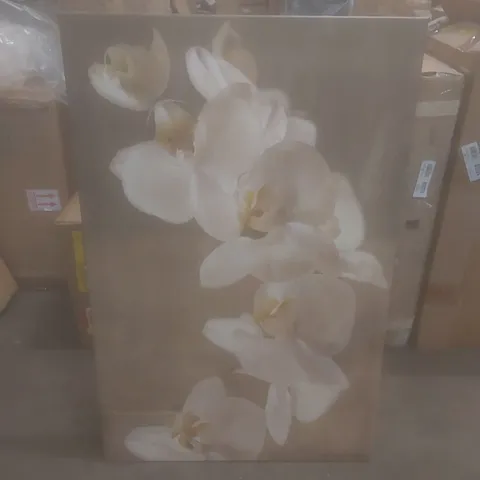 BOXED PAINTED ORCHID BY SYMPOSIUM DESIGN - PAINTING ON CANVAS
