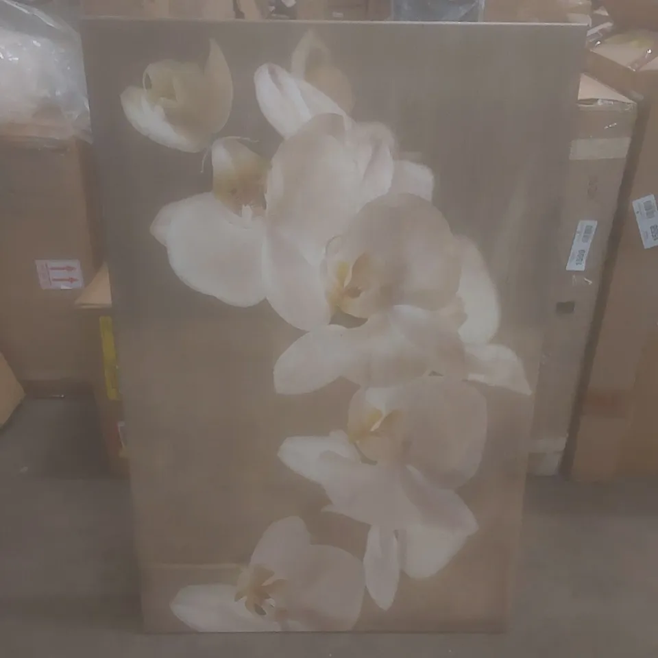 BOXED PAINTED ORCHID BY SYMPOSIUM DESIGN - PAINTING ON CANVAS