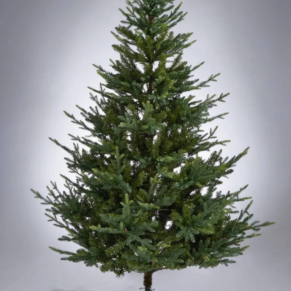 BOXED 6FT PRE LIT UPSWEPT TREE (COLLECTION ONLY) RRP £149.99