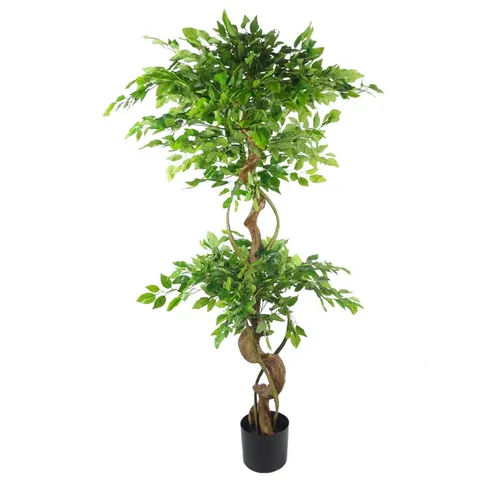 BOXED FAUX FICUS TREE