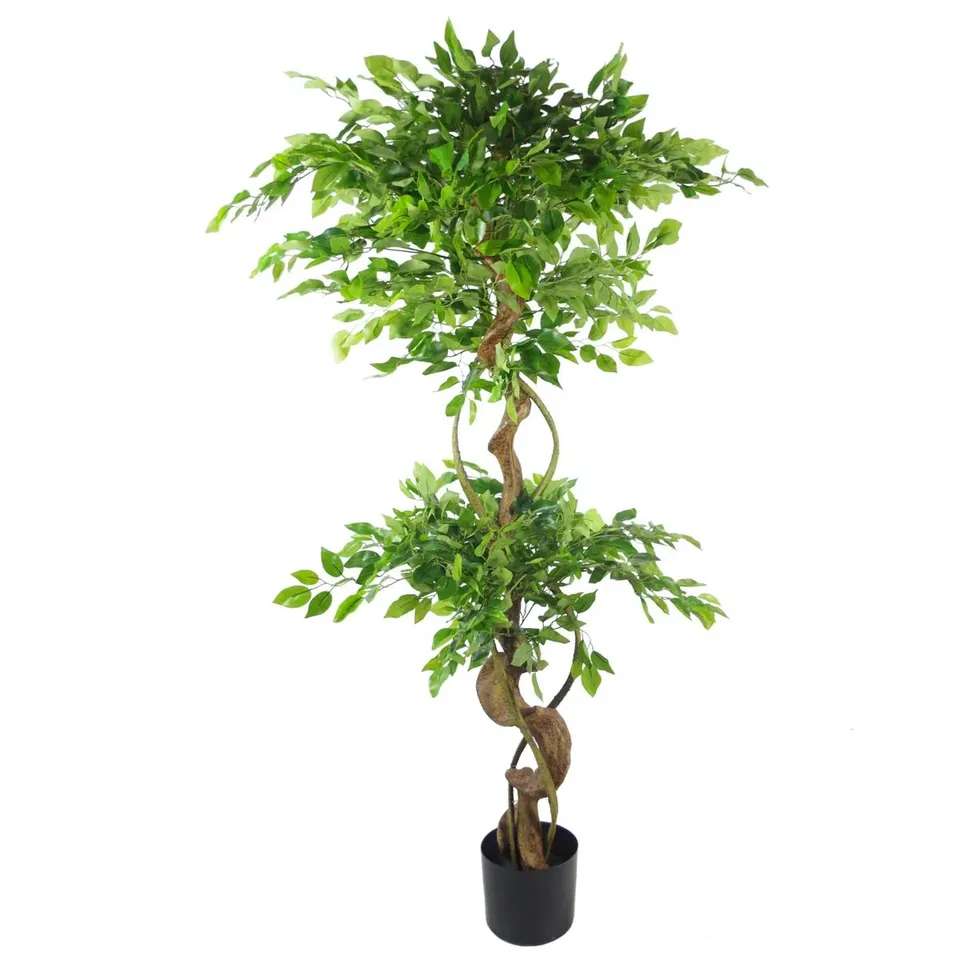 BOXED FAUX FICUS TREE