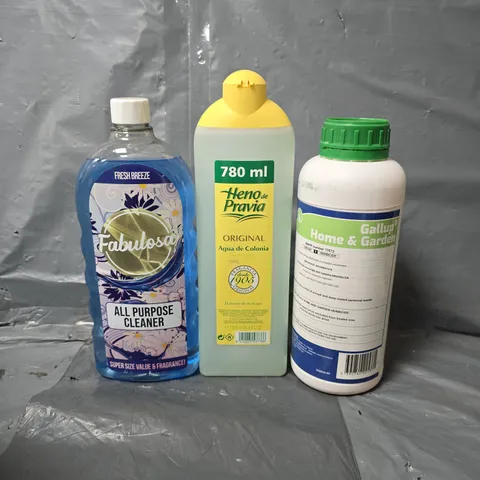 APPROXIMATELY 10 ASSORTED ITEMS TO INCLUDE - RABULOSA ALL PURPOSE CLEANER , GENO PRAVIA 780ML , HOME & GARDEN GALLUP ETC