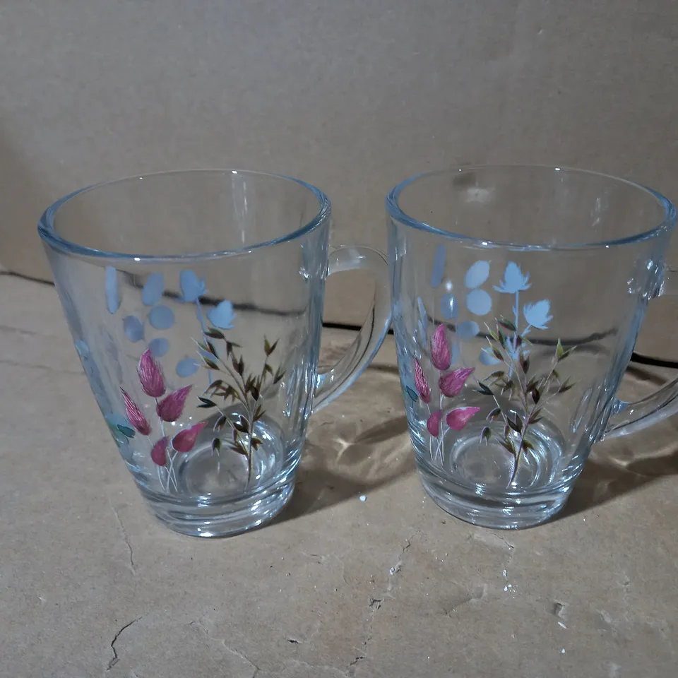 SET OF MEADOW GLASS MUGS
