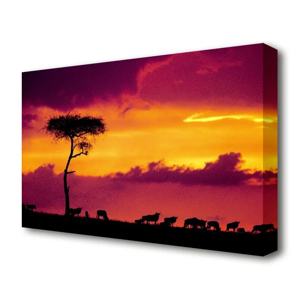 BOXED AFRICAN SAFARI SUNSET WILDLIFE PRINT