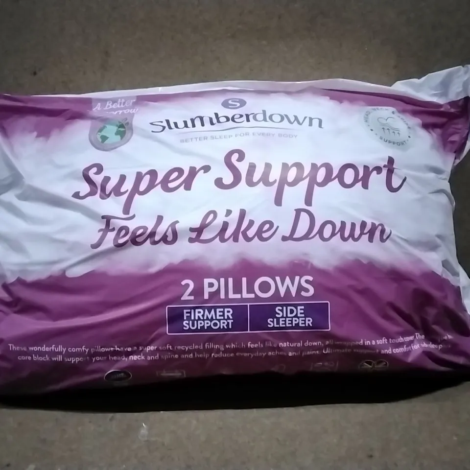 BAGGED SLUMBERDOWN X2 PILLOWS 