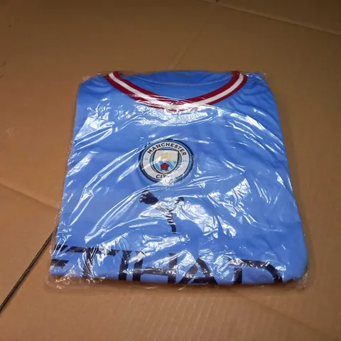 PACKAGED PUMA MANCHESTER CITY CREW NECK T-SHIRT - XXL