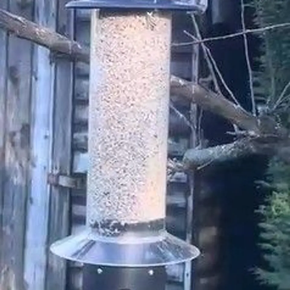 BOXED GRUMPY GARDENER SQUIRREL PROOF SEED & SUET FEEDER