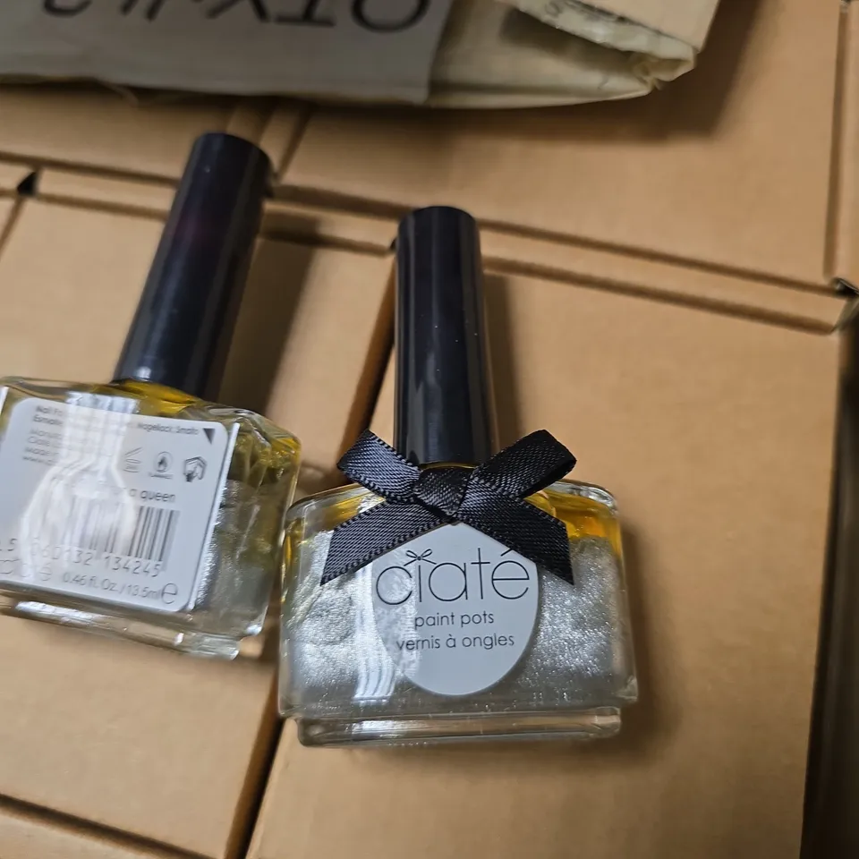 CIATÈ PAINT POTS NAIL POLISH – FIT FOR A QUEEN (PP069) – 0.46 FL OZ / 13.5 ML, BULK BOTTLE PACK