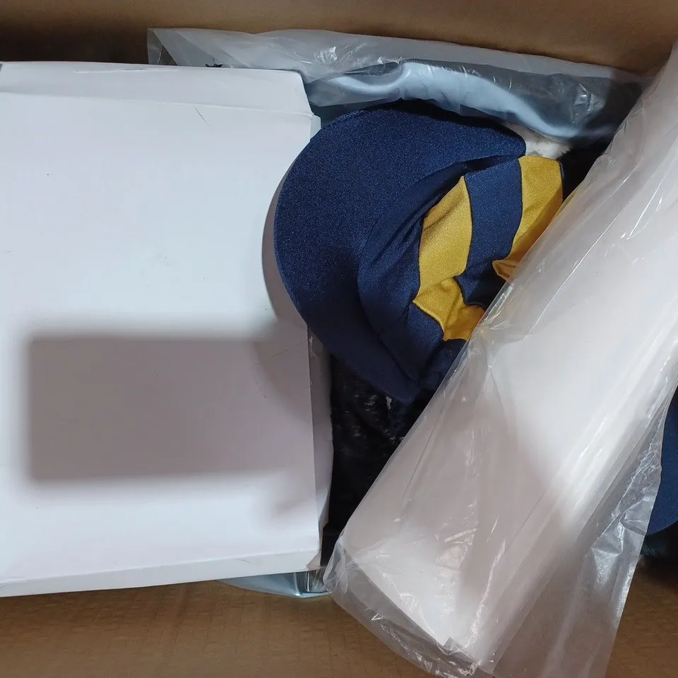 BOX OF APPROXIMATELY 8 ASSORTED HOUSEHOLD ITEMS TO INCLUDE BELFAST CALENDAR 2024, UTTAM DEHUMIDIFIER, ETC