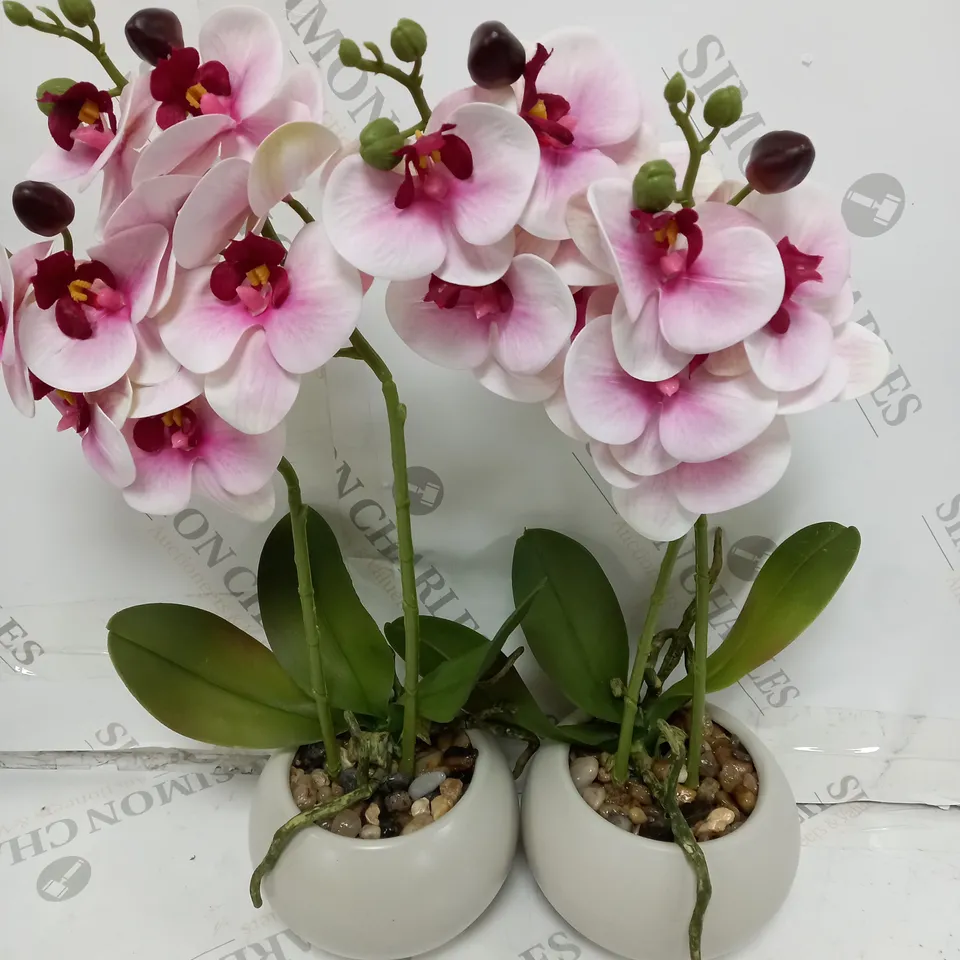 HOME REFLECTIONS SET OF 2 REAL TOUCH ORCHIDS IN A CERAMIC POT IN PINK