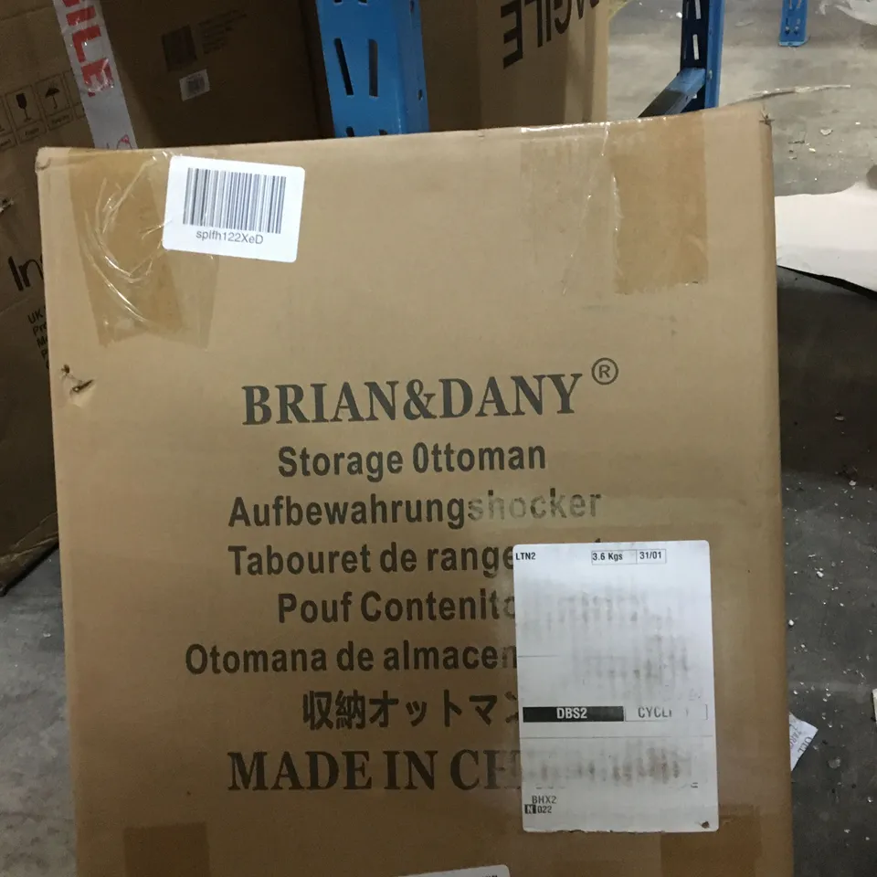 BRIAN AND DANNY STORAGE OTTOMON