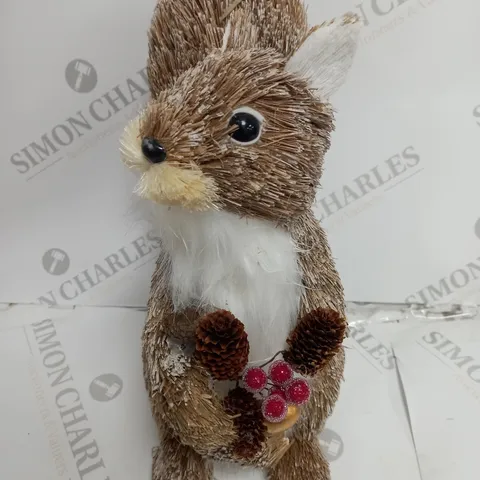 BRISTLE SQUIRREL