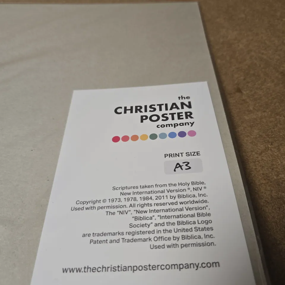 THE CHRISTIAN POSTER COMPANY - PROVERBS 31:25A POSTER, 'SHE IS CLOTHED WITH STRENGTH AND DIGNITY' (A3)
