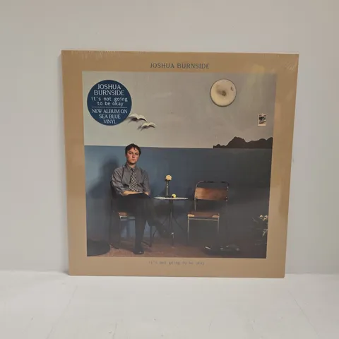 JOSHUA BURNSIDE IT'S NOT GOING TO BE OKAY VINYL
