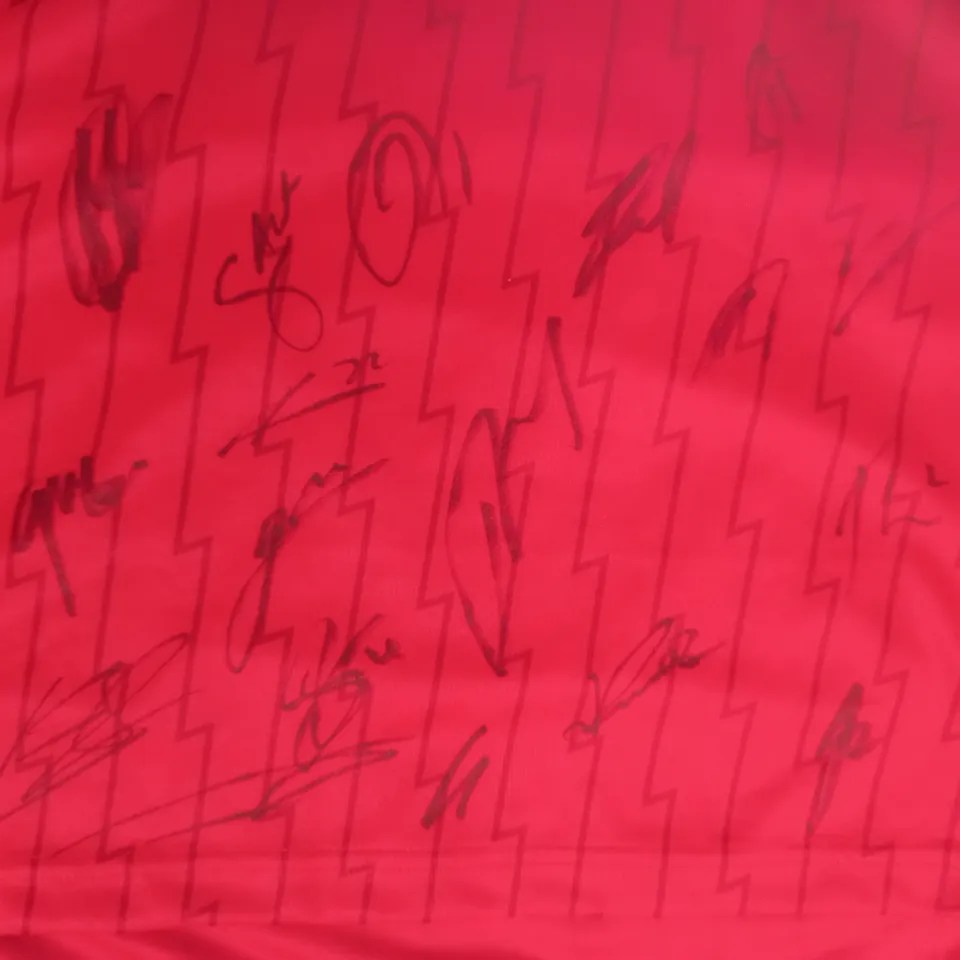 ARSENAL FOOTBALL CLUB OFFICIAL SIGNED T-SHIRT - SIZE LARGE