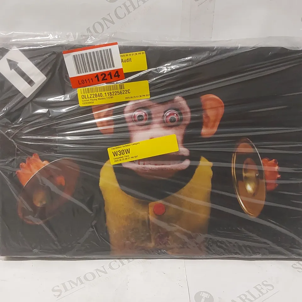 CYMBAL PLAYING MONKEY WRAPPED CANVAS