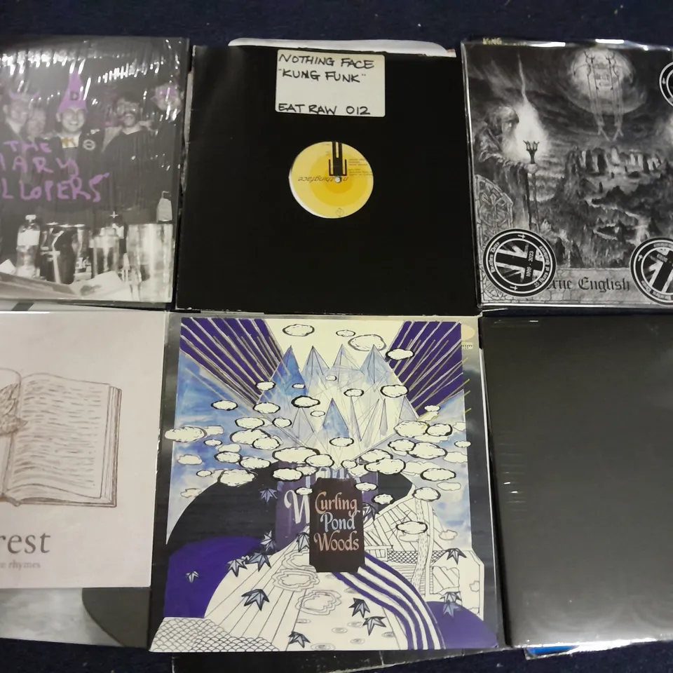 LOT OF APPROXIMATELY 30 ASSORTED VINYLS TO INCLUDE KING CURIOUS, MARC ACARDIPANE CURLING PON DWOODS AND WAIRUNGA