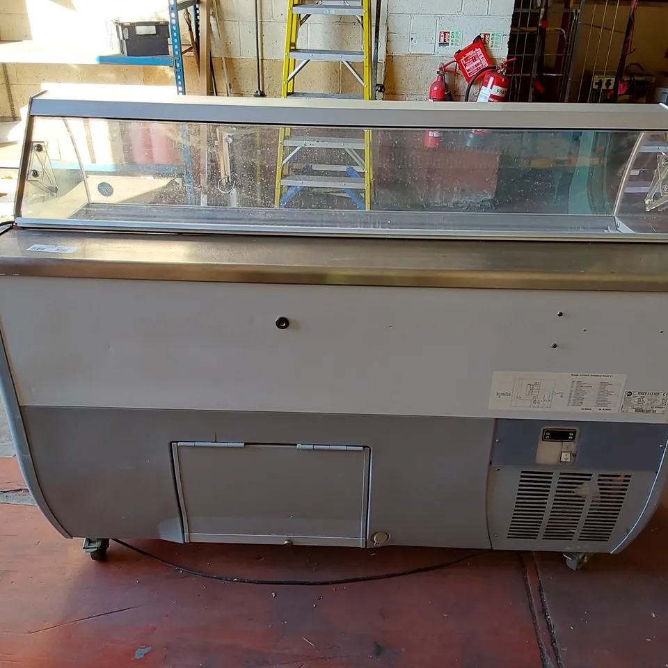 IARP FENICE S9 9-TUB DISPLAY ICE CREAM FREEZER UNIT 